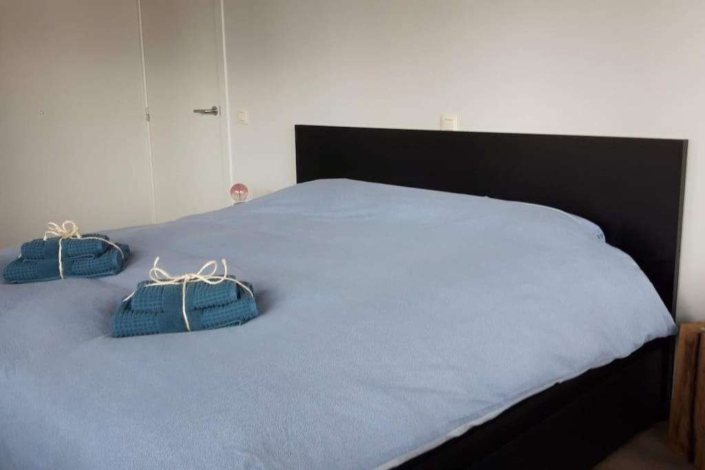Momaison Charmant Landelijk Appartement Knesselare Dış mekan fotoğraf